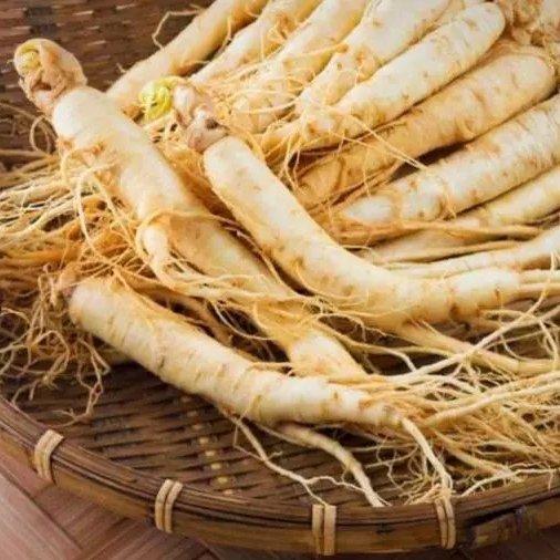 پودر جنسینگ کره ای و درمان بیماری جنسی اقایان 200گرم